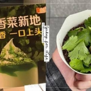 折耳根板蓝根冰激凌不远了！汉堡干脆面掉满地