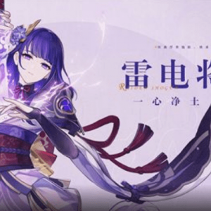 原神：雷神国家队21秒短轴分享