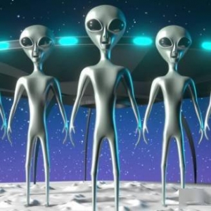 真喵皇！眼睛神似外星人的猫让网友惊呆了