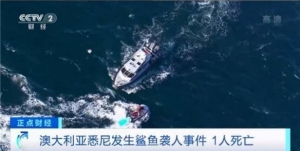 认错了！悉尼60年来首次发生鲨鱼袭人致死事件