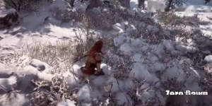 地平线西之绝境与零之曙光物理细节对比视频