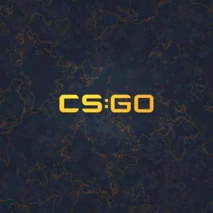 Astralis官方宣布引入前FPX狙击手Farlig