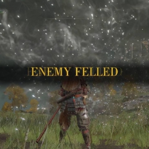 艾尔登法环：说一些帧率和门口大树武士的小心得