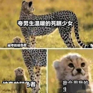 艾尔登法环支线BOSS盘点 艾尔登法环boss位置