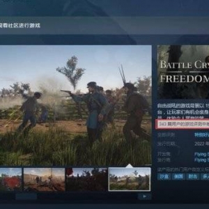 南北战争多人游戏《自由战吼》Steam获特别好评
