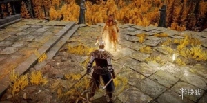 《老头环》太火！男子在成年网站花2万美元找美女陪玩