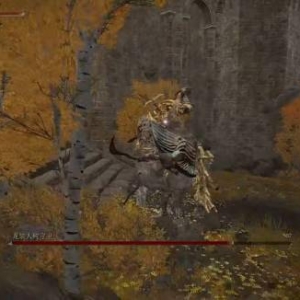 高清无马要火！勇者挑战《老头环》5帧击杀龙装大树