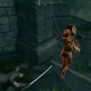 《艾尔登法环》中与萌新玩家合作游玩 有趣的体验