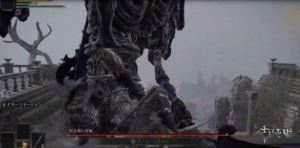 火上浇油！玩家分享被《老头环》boss蹲起嘲讽的经历