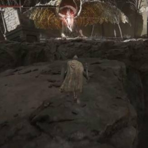 坐等蒙眼！《老头环》速通新纪录：国内大佬54分48秒