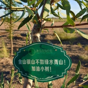 游戏日报：网易之后，因三国志战略版推广，灵犀互娱再次被起诉 ...