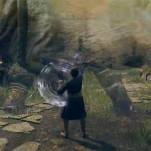 《老头环》新节目！召唤碎星当骨灰：一人攻沙虐全场？