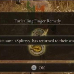 玩家装扮NPC骗过红灵 艾尔登法环入侵世界找不到人