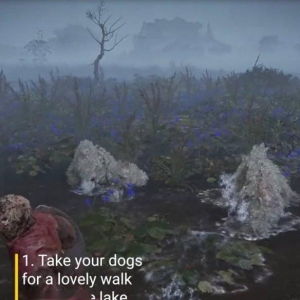 动保组织又来！教玩家《艾尔登法环》中如何善待动物