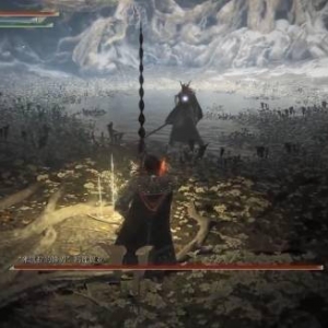 属实是把女武神拿捏了！《老头环》玩家秀大量技能