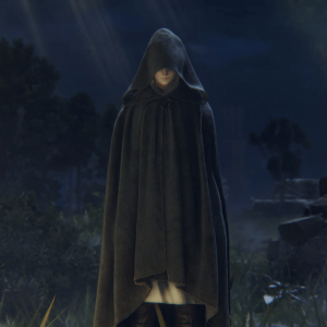 艾尔登法环：巨剑侠build/战灰探讨