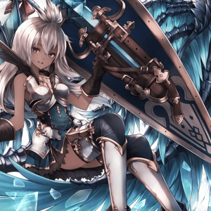 碧蓝幻想：新水天上P+ 水方帕拉丁狗4月球人双贤者