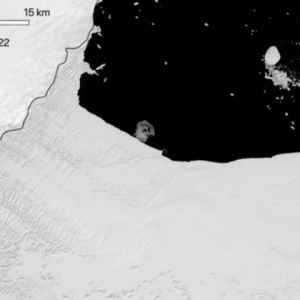 面积堪比洛杉矶！南极康格冰架崩塌：约1200平方公里