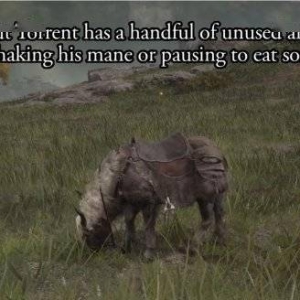 《艾尔登法环》托雷特竟然会踹人 艾尔登法环马会踹人