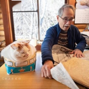 占据电脑又不给摸！长辈与胖猫日常：爷爷被喵皇狠K