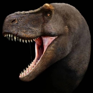 艺术家3D复原最写实史前动物：古生物的长相够霸气