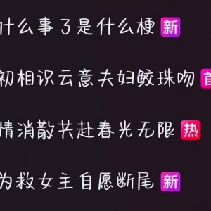 玩游戏/看动画时，你们会选原版还是中文配音？