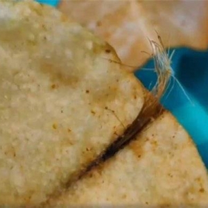 乐事薯片吃出毛发赔偿1000元？官方：那是土豆根茎