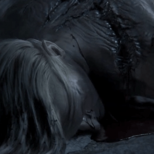 艾尔登法环：新号升级路线整理