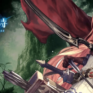 影之诗：极光全解教，国服稳定上分