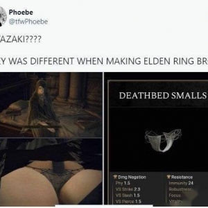 《艾尔登法环》捡死眠少女胖次被封号的问题 已经修复