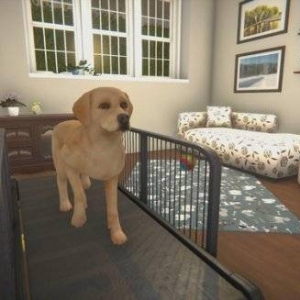 海量萌宠登场！模拟经营《房产达人》新DLC即将推出