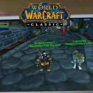 暴雪表示将在未来几周公布《魔兽》手游的更多细节