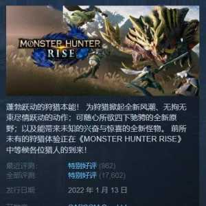 Steam每日特惠：《怪猎：崛起》半价《天命奇御》半价