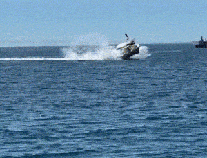 墨西哥游船与座头鲸发生激烈碰撞：船被撞飞！五人受伤