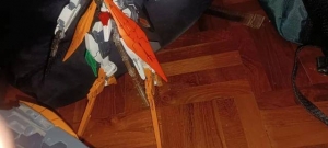 「新手村」妖天使r1 ——究極縫合