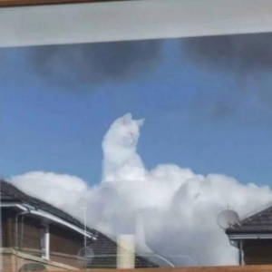 每张图都看了半天！不要被奇怪的视觉错位图欺骗了