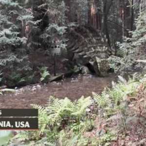 《侏罗纪世界3》恐龙目击案件：围观食肉恐龙睡觉