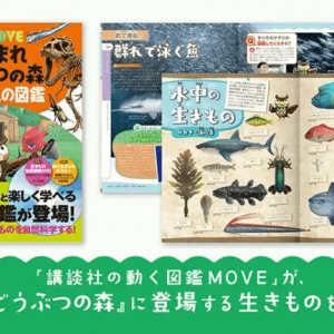 寓教于乐！《动物森友会》将在日本推出百科全书