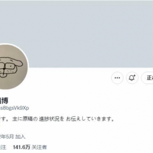 集英社回应 富坚义博开推特账号：我们也是听说的