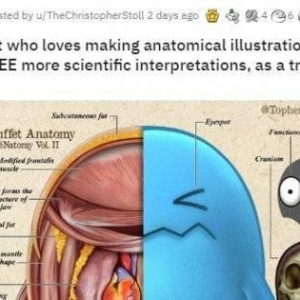 生物专家绘制宝可梦超细致解剖图！堪称教学级别