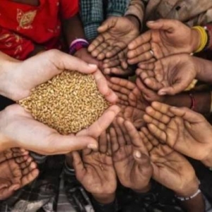 全球每年粮食浪费量高达16亿吨：产生33亿吨碳排放量