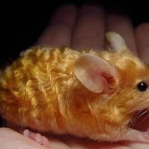 大自然造物主：时而奇怪，时而奇妙，每时每刻有惊喜