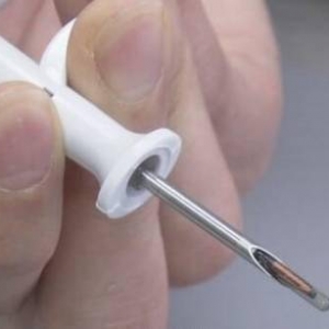 防止宠物被遗弃！日本规定：植入芯片的宠物才能出售