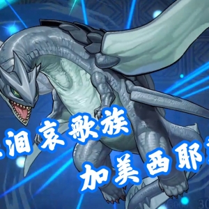 海龟当然是珠泪本家啊！【游戏王】
