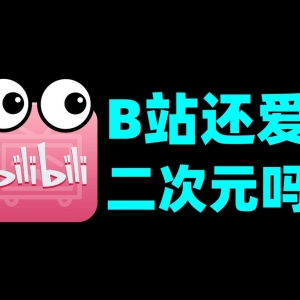 2024年了，二次元在B站究竟何去何从【瓶说动漫】