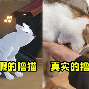 学原神撸猫！ 我有什么步骤做错了吗？