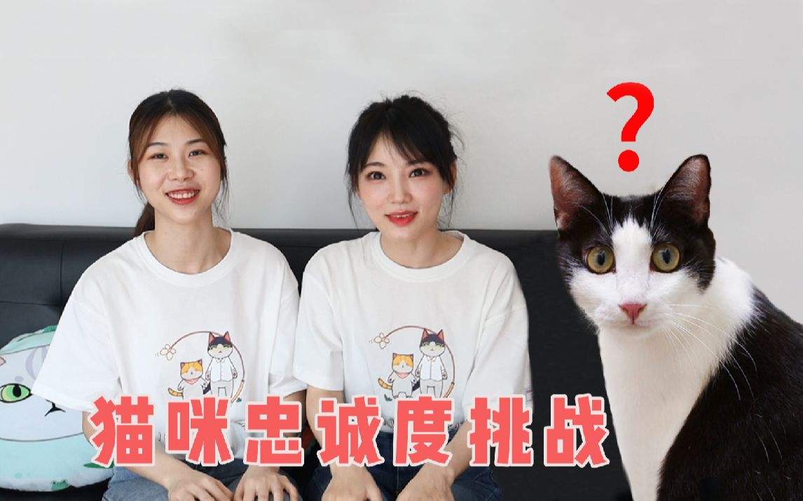 咬人猫假扮三猫，家里突然换铲屎官，猫能认出来吗？-1.jpg