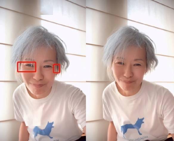 白发抢眼！59岁“许仙”叶童罕见露面 正视老态心态淡然s2.jpeg