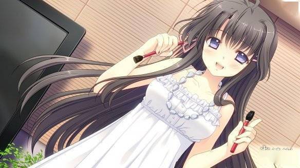 《近月少女的礼仪》登陆Steam 获玩家“特别好评”s10.jpeg
