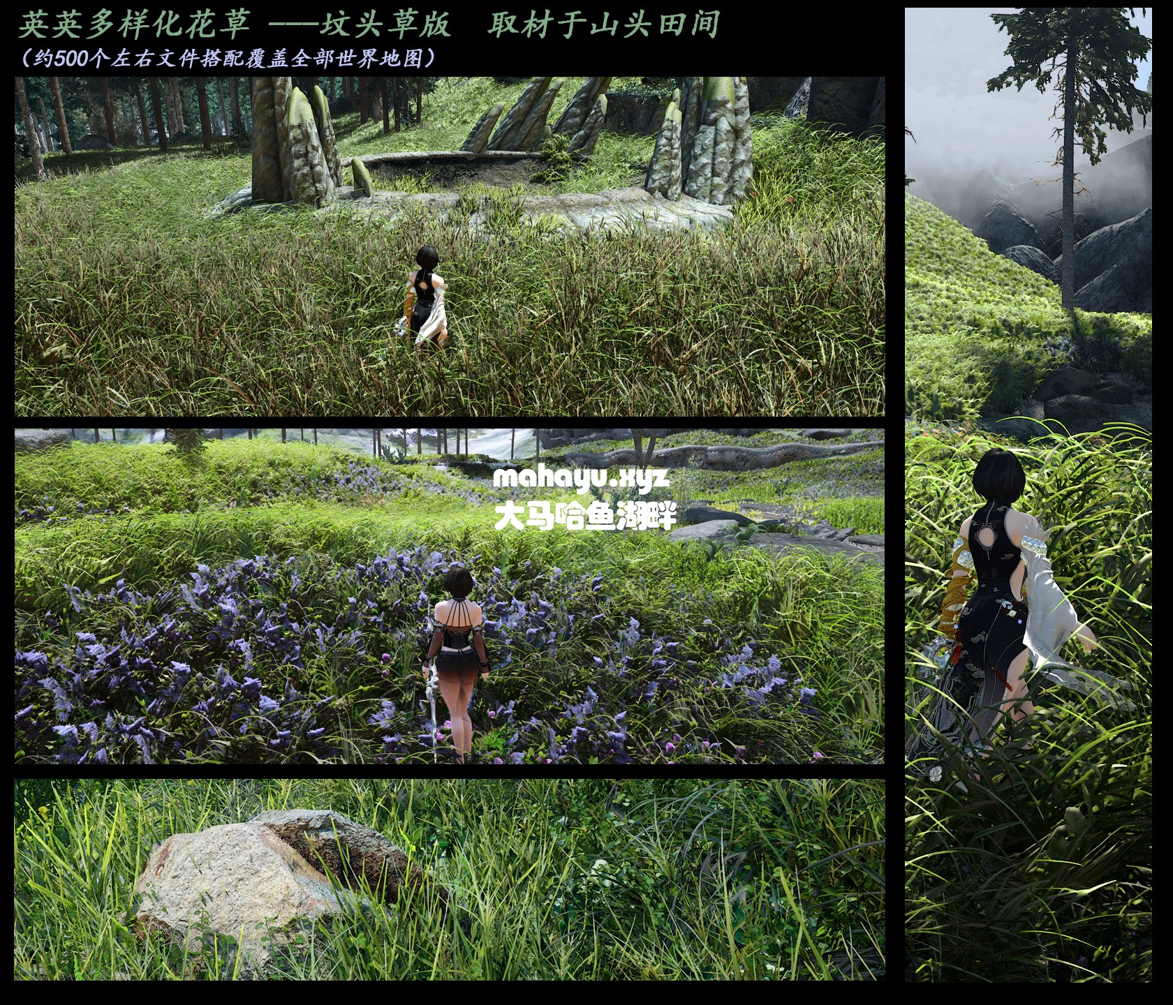 英英多样化花草-坟头草版.jpg